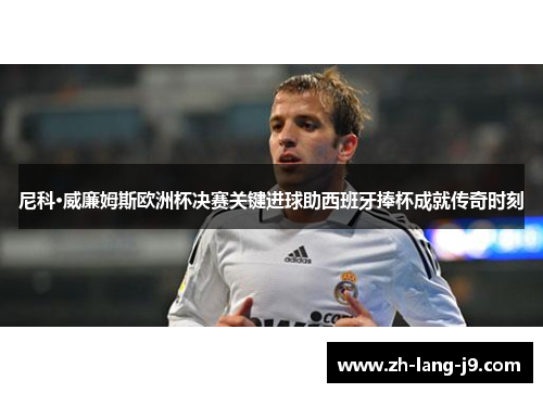 尼科·威廉姆斯欧洲杯决赛关键进球助西班牙捧杯成就传奇时刻