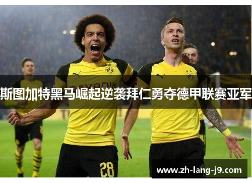 斯图加特黑马崛起逆袭拜仁勇夺德甲联赛亚军